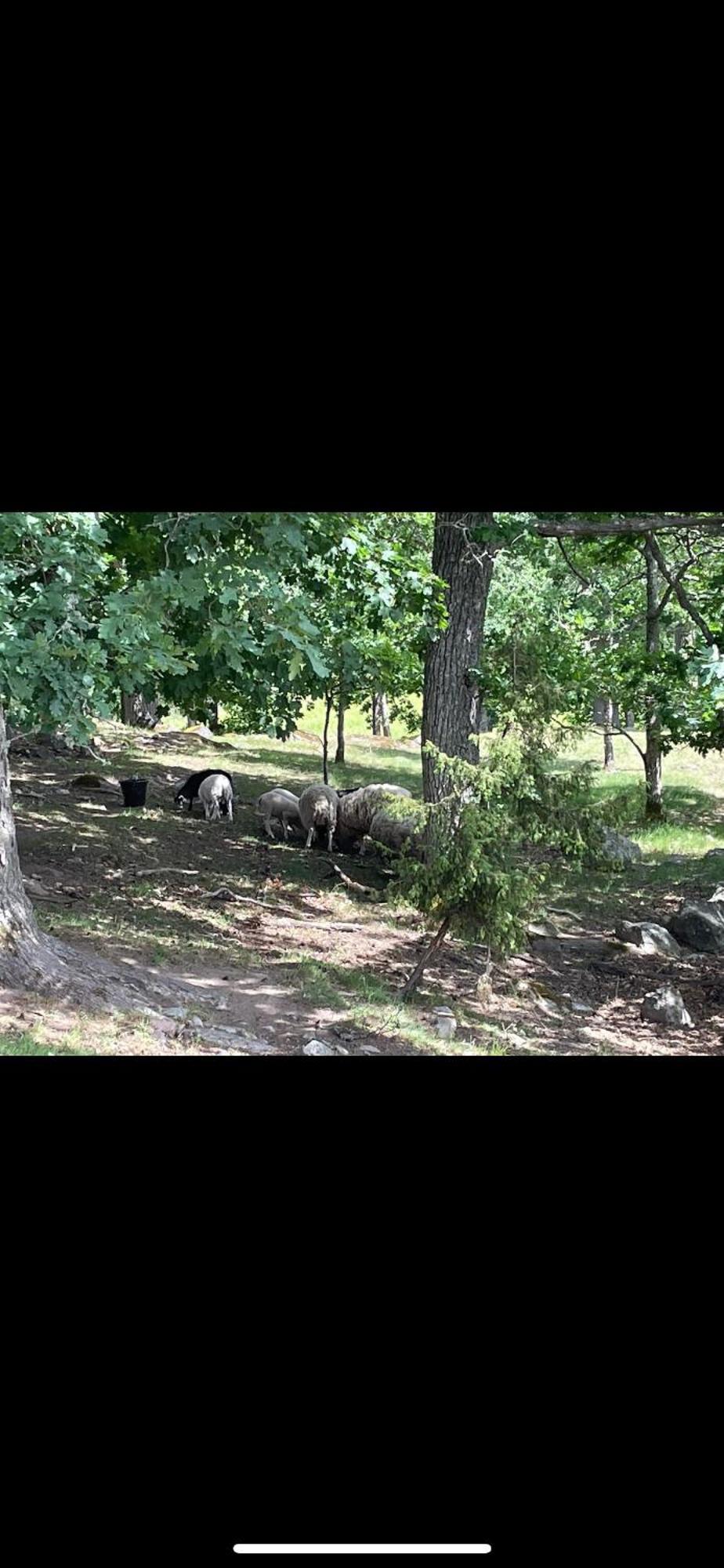 Lasta Gardshotell Strängnäs Εξωτερικό φωτογραφία